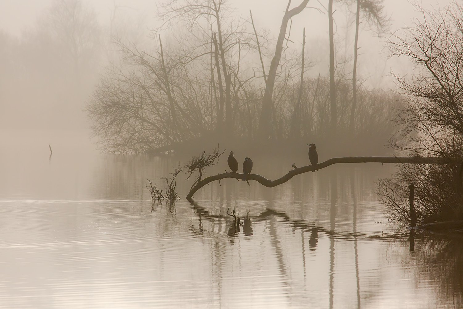 00251_III_OISTERWIJK_2_11MRT_2016_9305RCCz-40