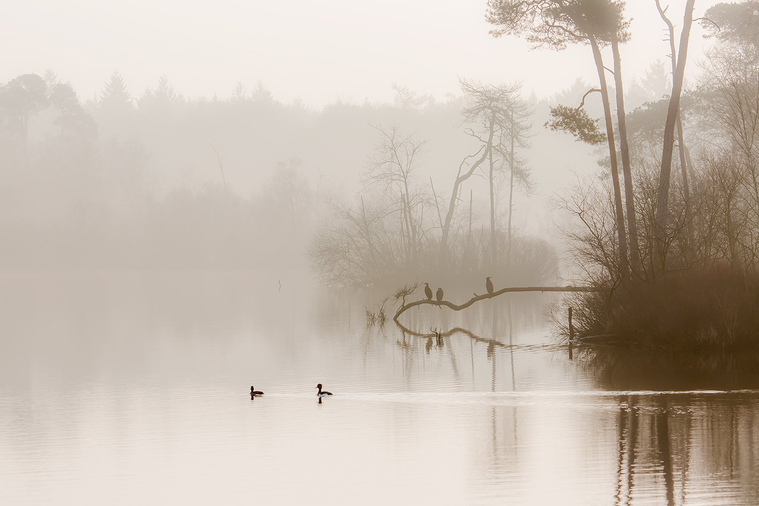 00259_III_OISTERWIJK_2_11MRT_2016_9282RCCz-40