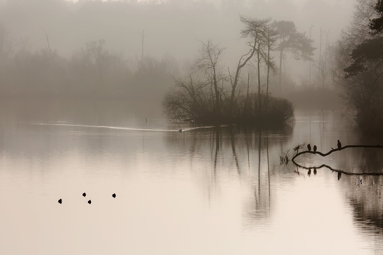 00263_III_OISTERWIJK_2_11MRT_2016_9353RCCz-40