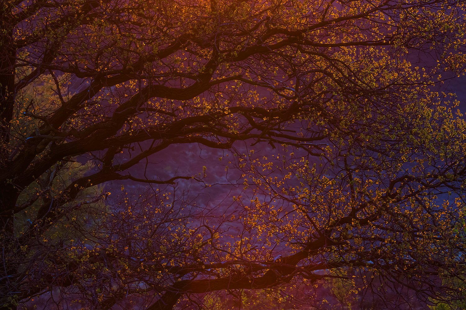 00003_III_POSBANK_1_02MEI_2016_6781RCCz-40_15