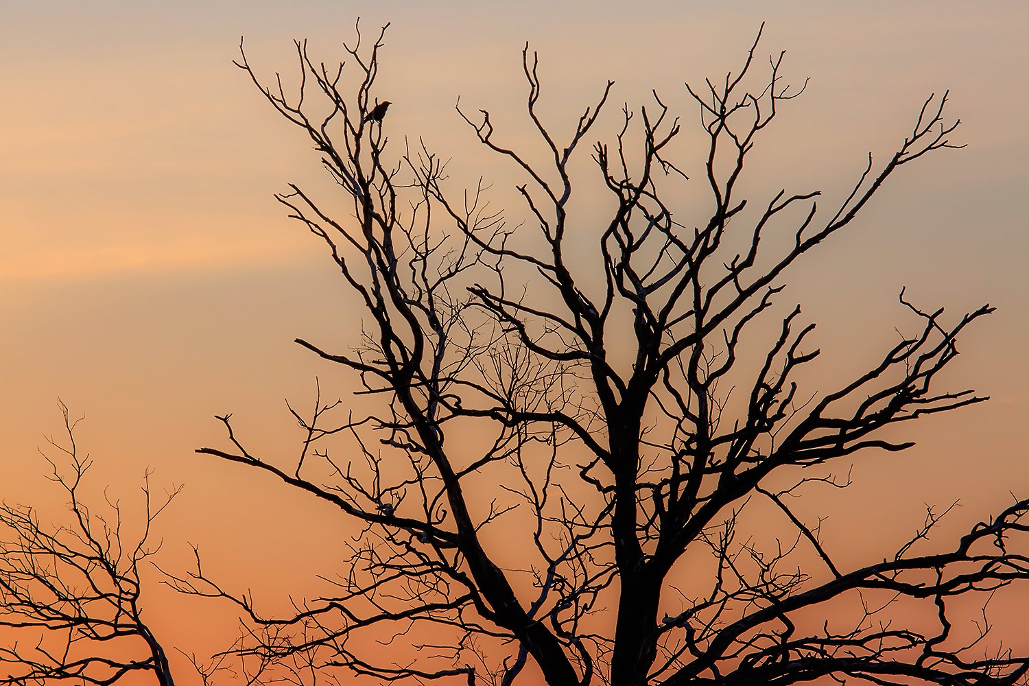 00007_III_POSBANK_1_02MEI_2016_6732RCCz-40_15