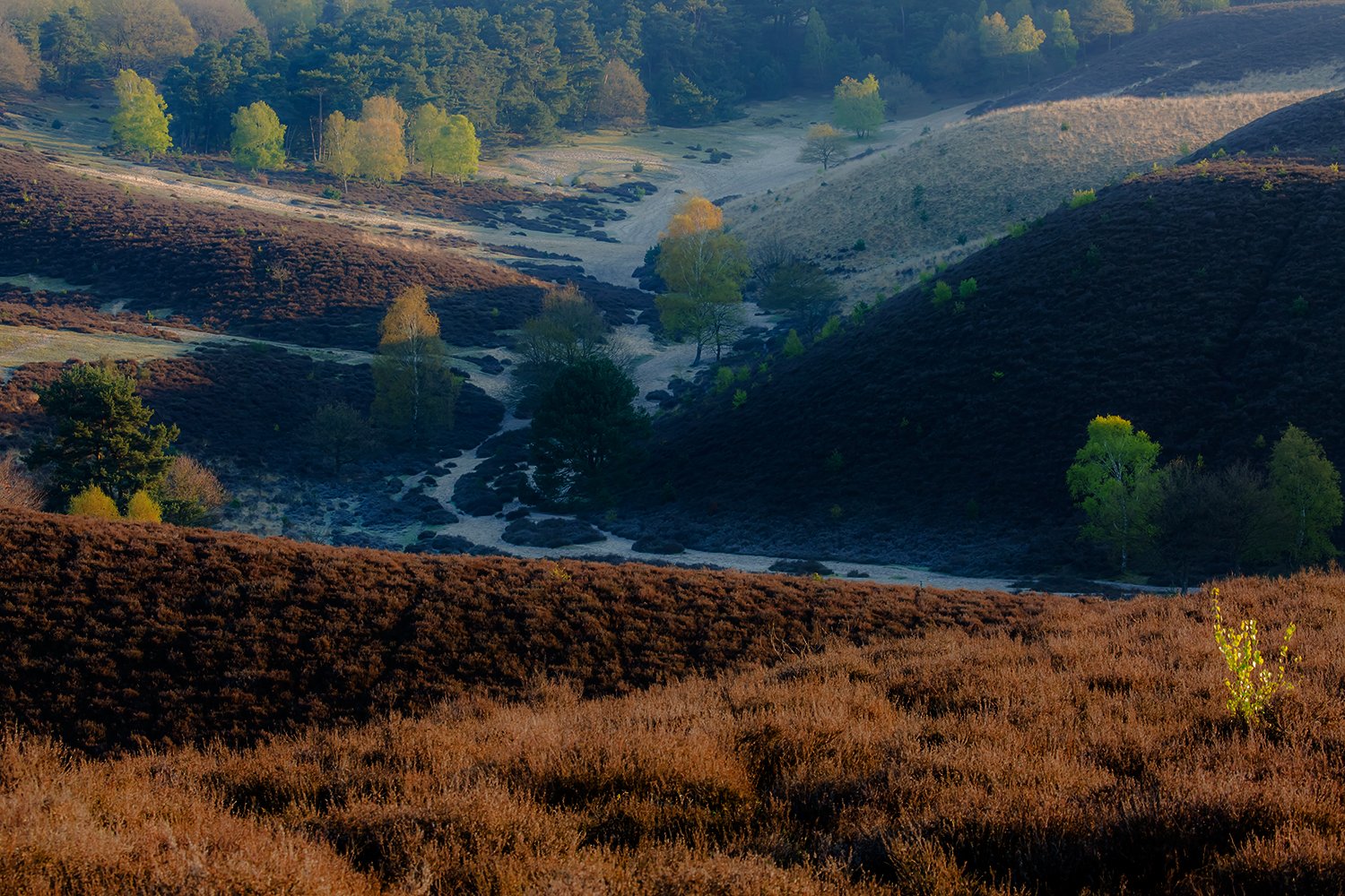 00011_III_POSBANK_1_02MEI_2016_6898RCCz-40_15