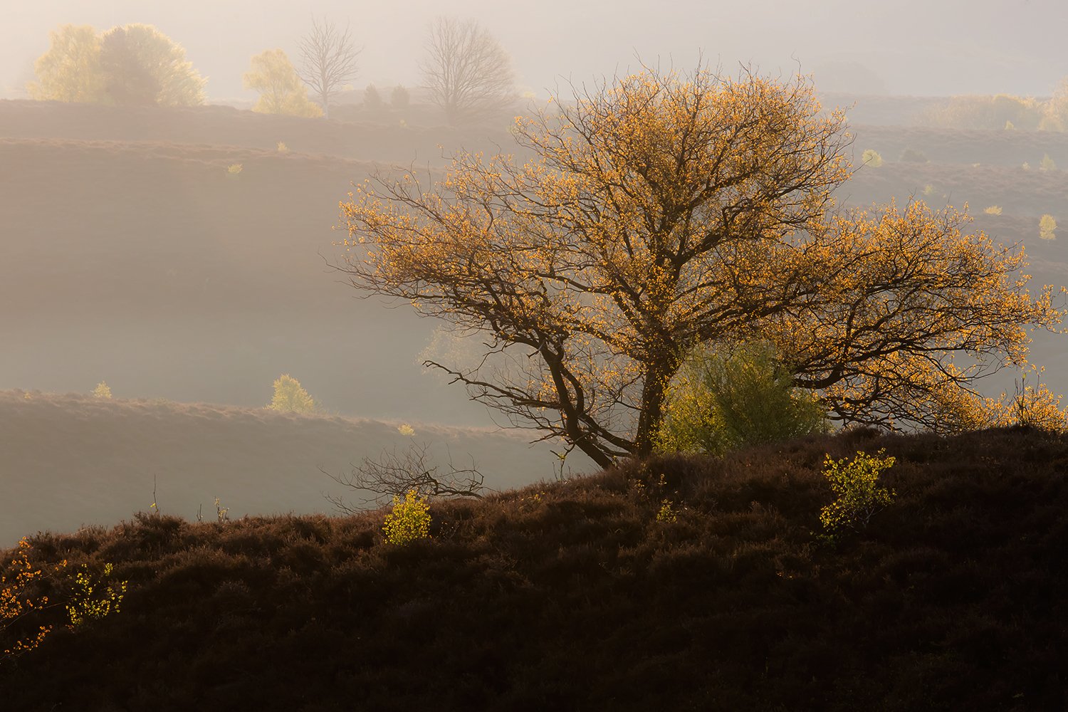 00017_III_POSBANK_1_02MEI_2016_6882RCCz-40_15