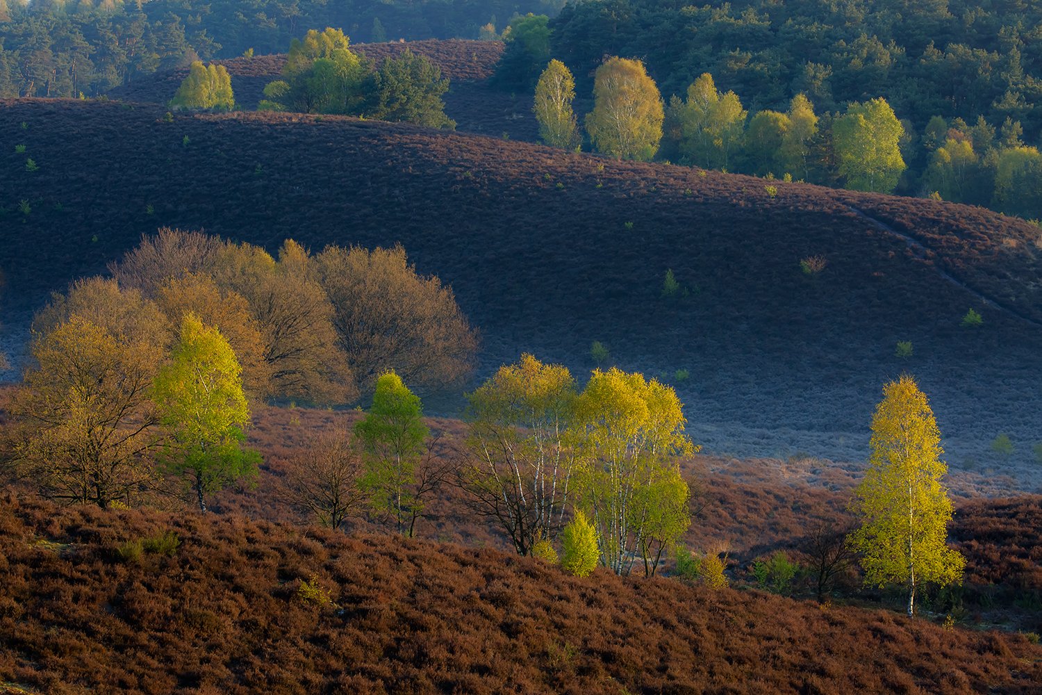 00027_III_POSBANK_1_02MEI_2016_6876RCCz-40_15