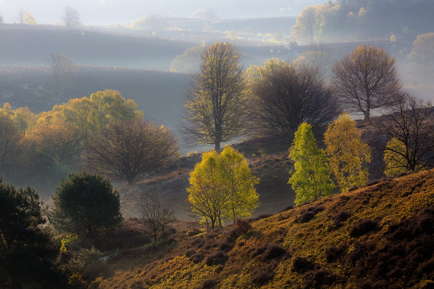 00031_III_POSBANK_1_02MEI_2016_6905RCCz-40_15