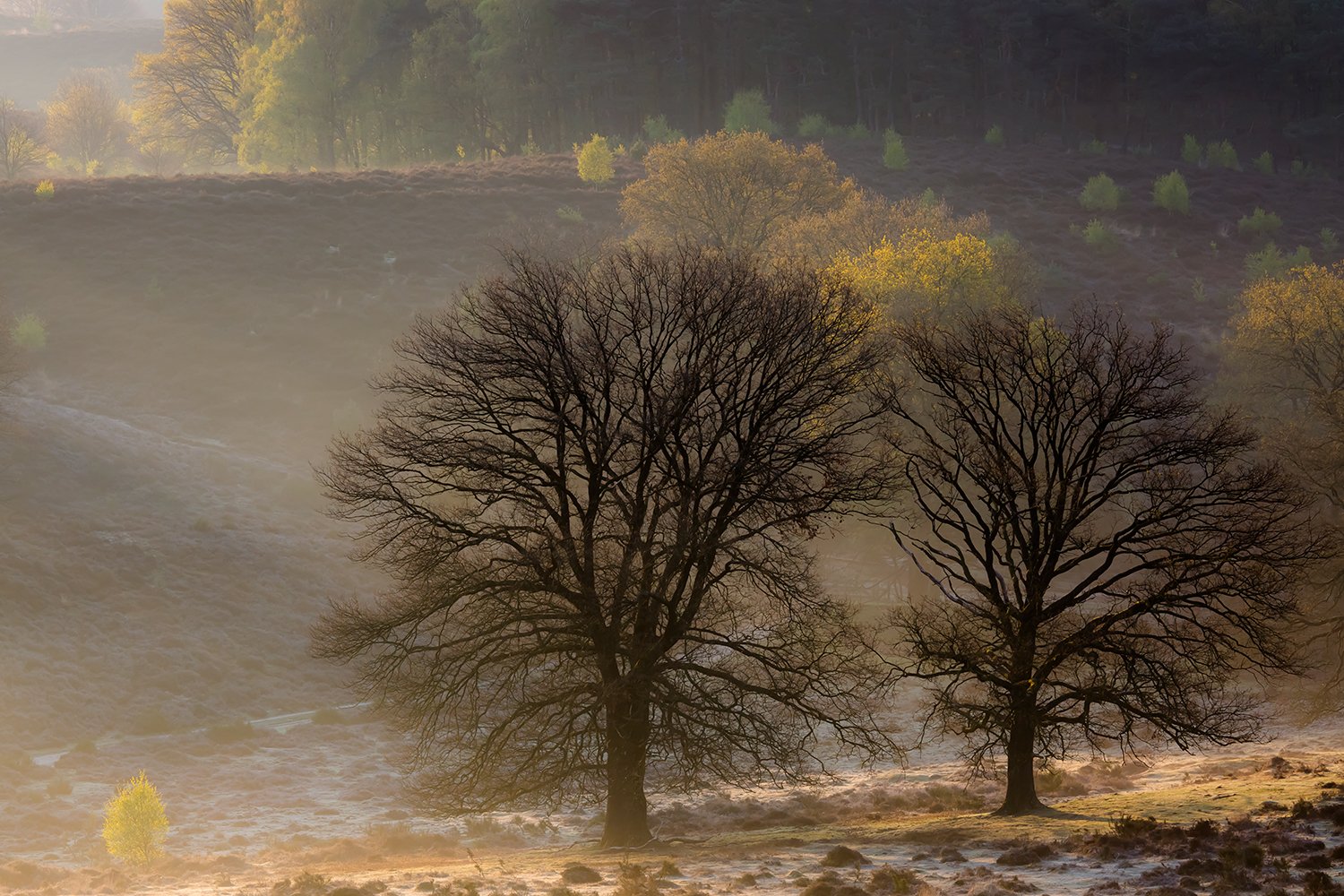 00041_III_POSBANK_1_02MEI_2016_6847RCCz-40_15