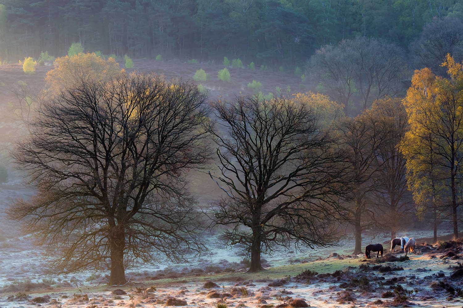 00047_III_POSBANK_1_02MEI_2016_6793_RCCz-40_15