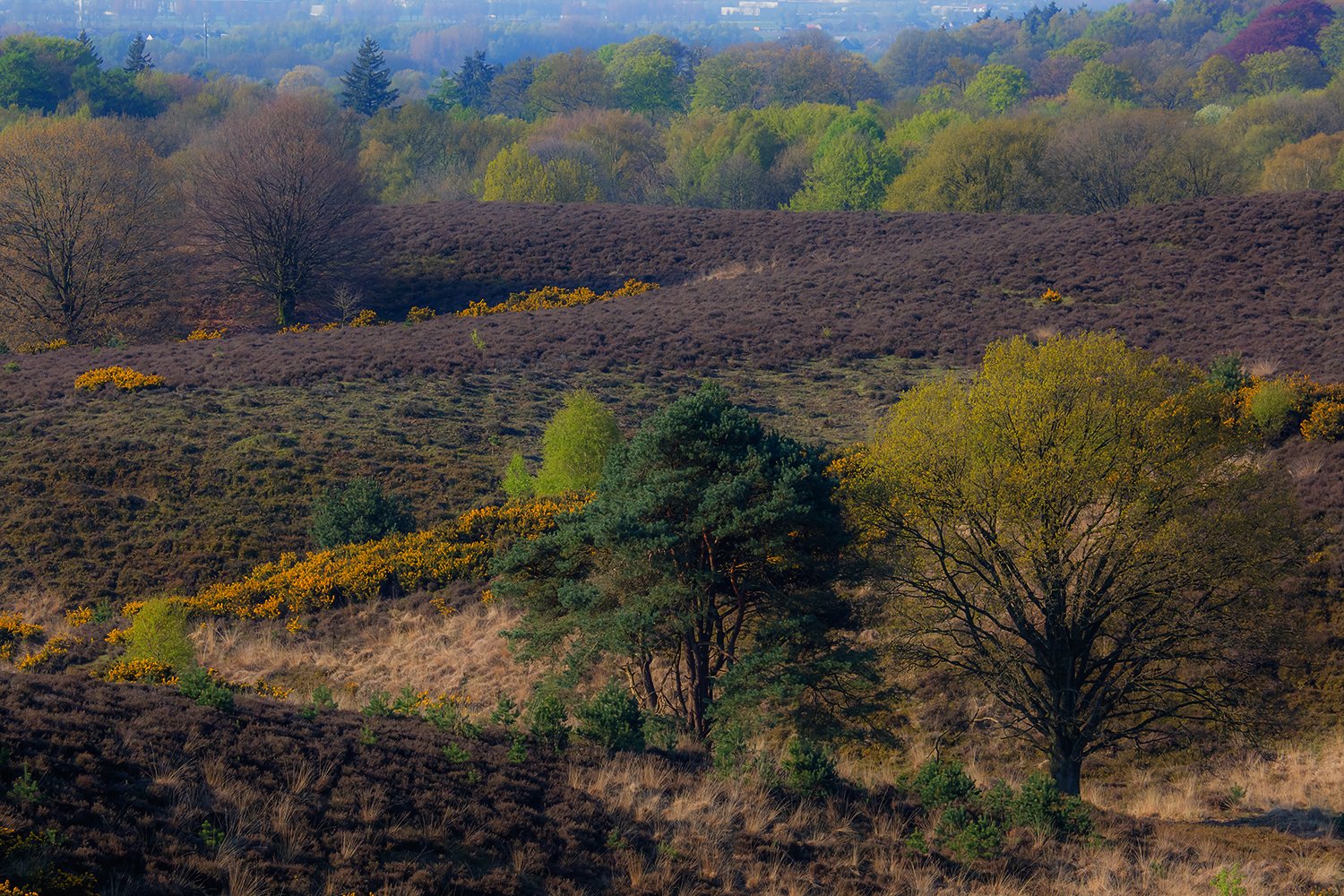 00063_III_POSBANK_1_02MEI_2016_7087RCCz-40_15