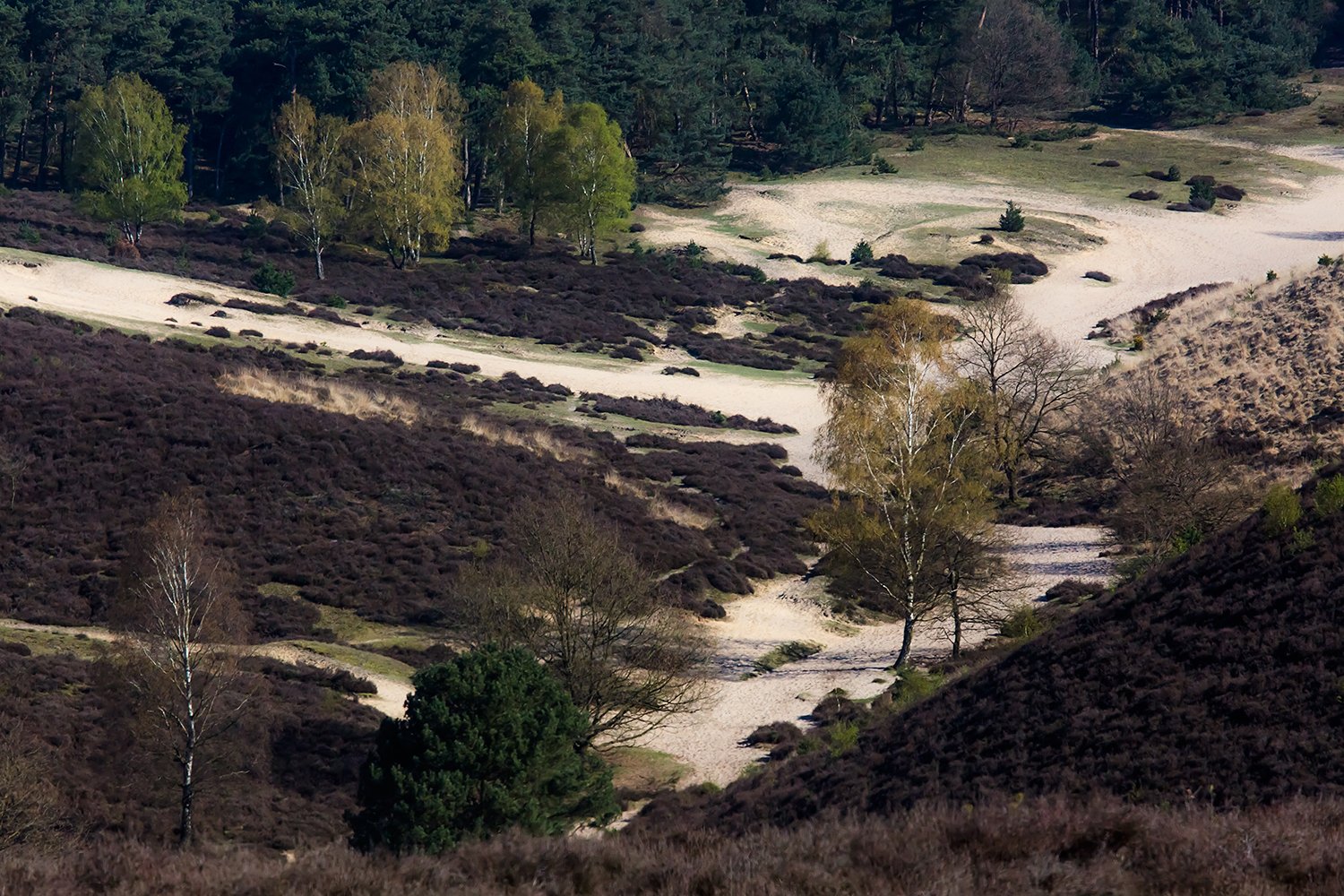 00081_III_POSBANK_1_21APR_2016_5454RCCz-40_15