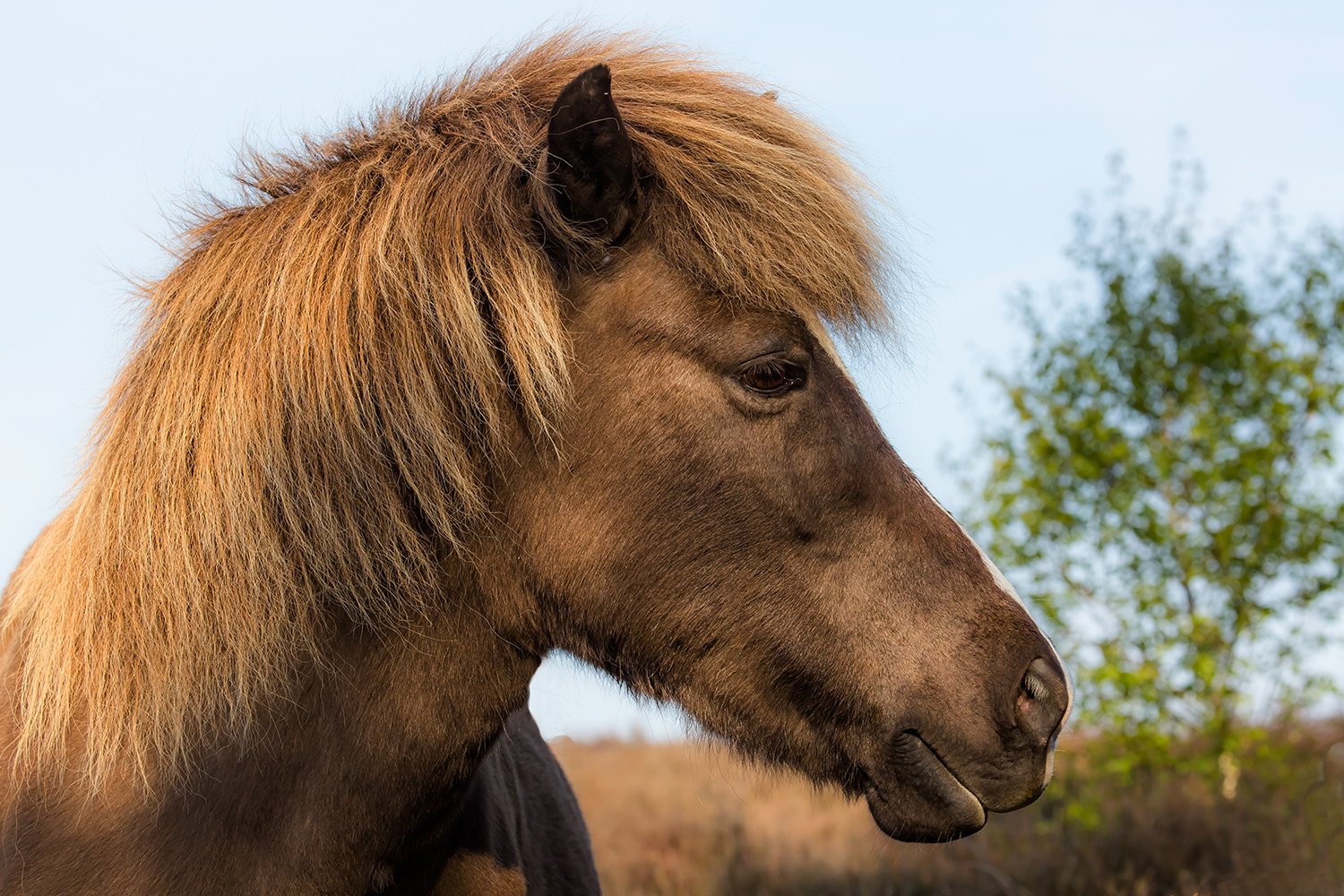 00091_III_POSBANK_1_02MEI_2016_7128RCCz-40_15