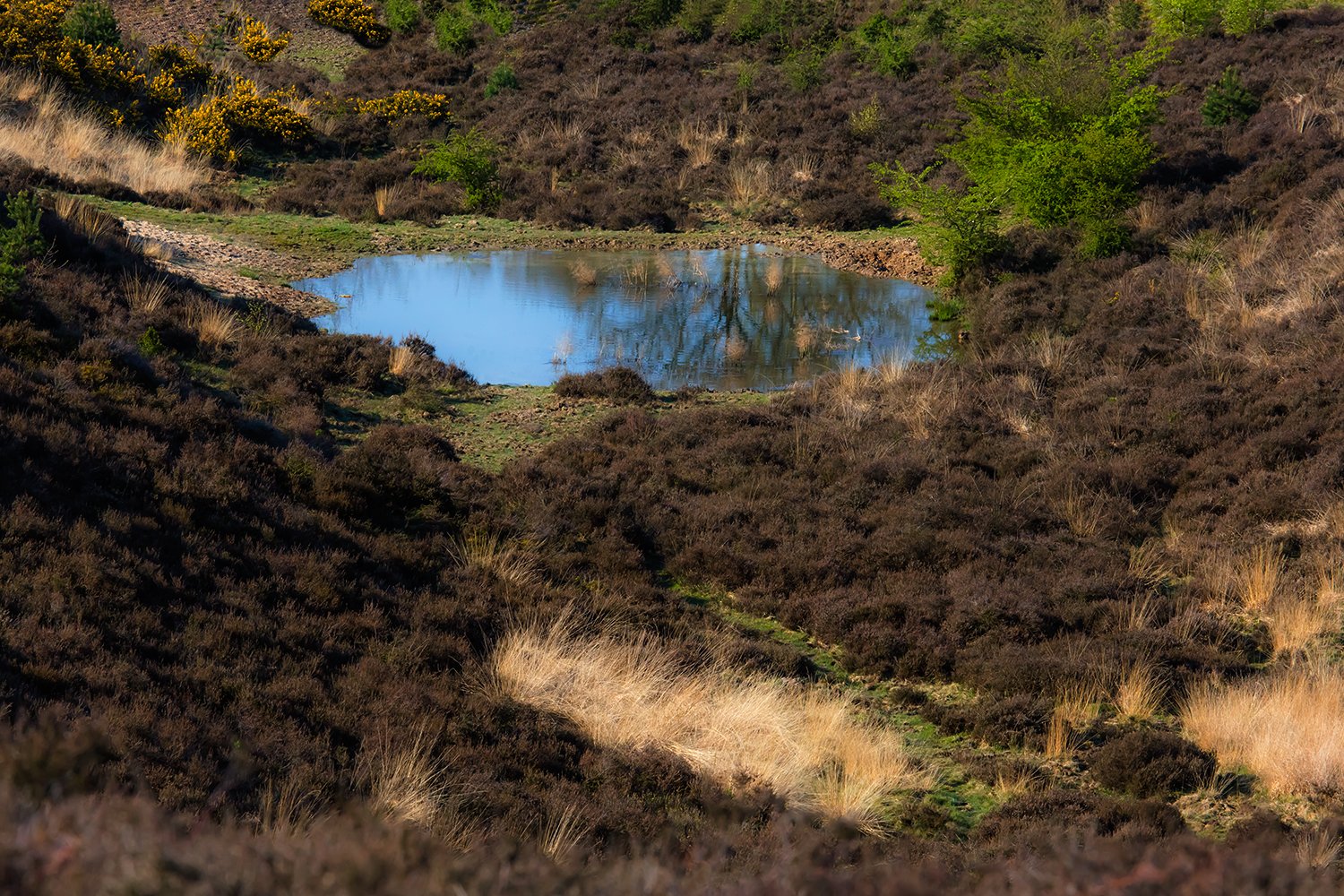 OOO67_III_POSBANK_2_02MEI_2016_7188RCCz-40_15