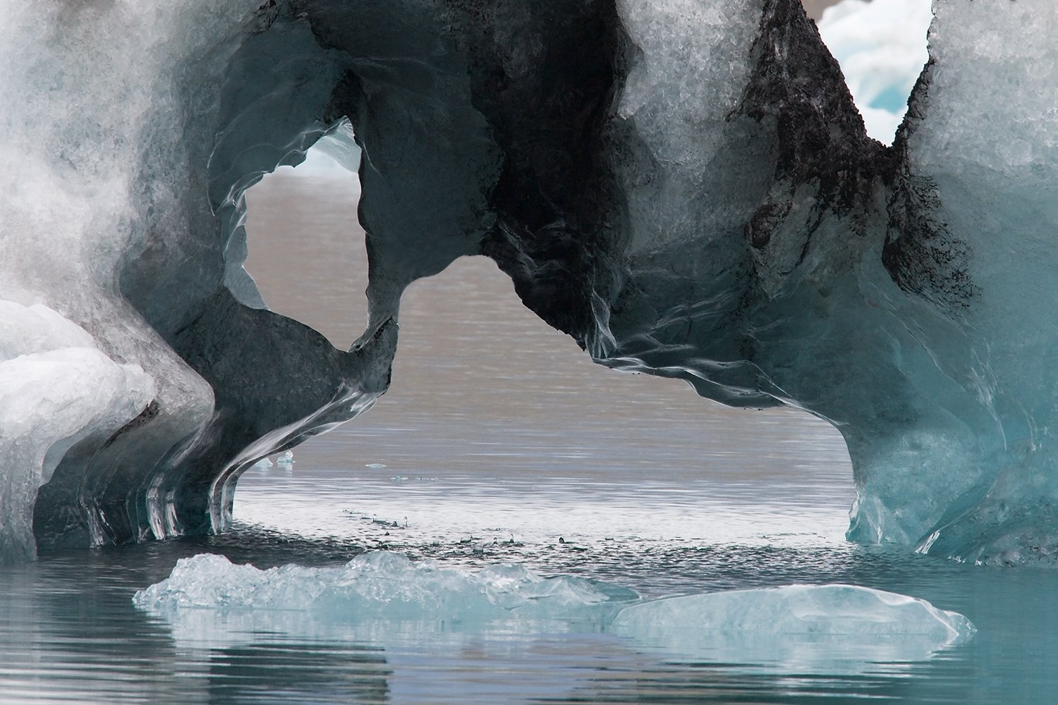 00091_ICELAND09_JOKULSARLON_ZWARTSTRAND_090630_282C7438AO9lsnCcurzzKLN_15