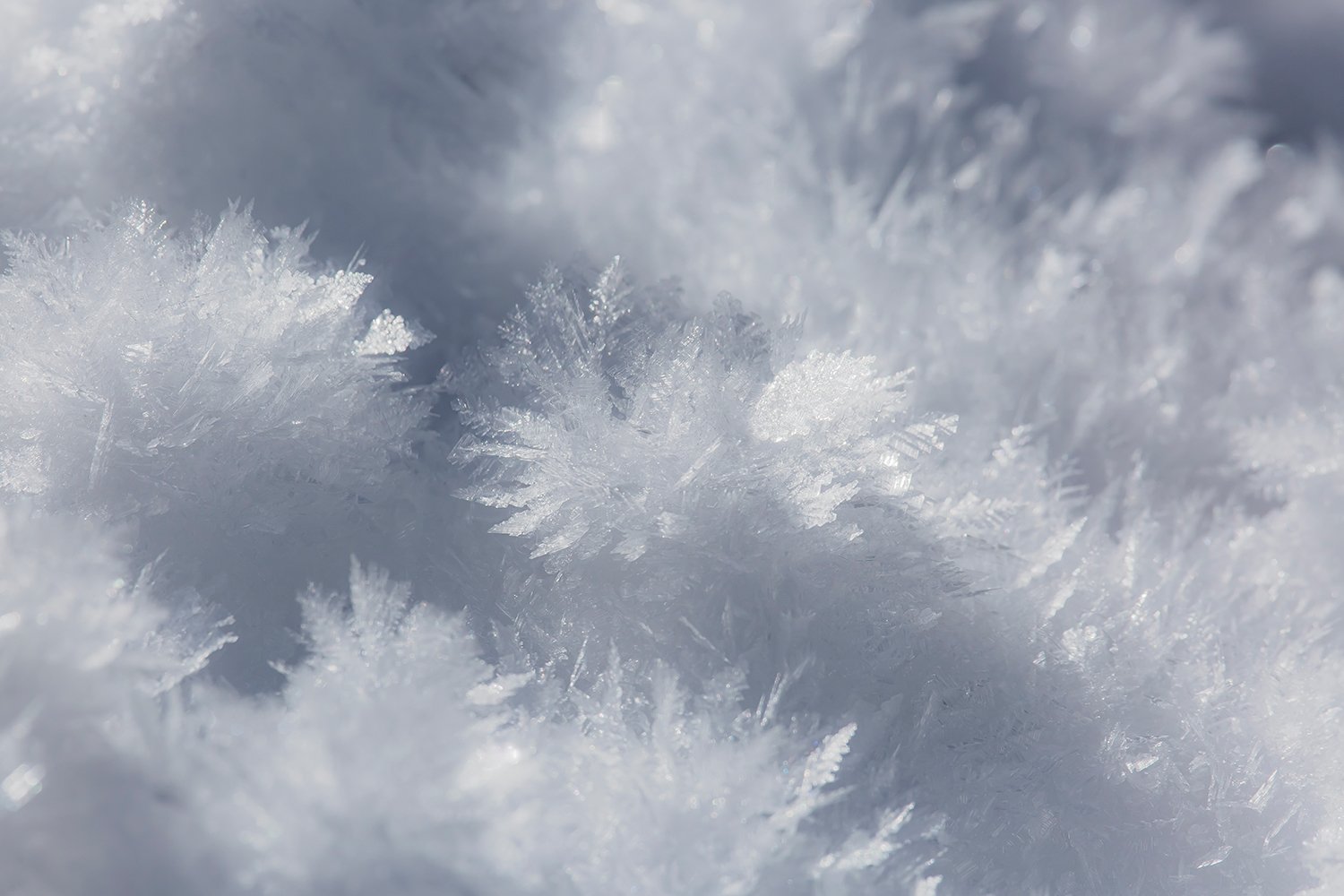 000011_III_UNTERTAL_1_01JAN_2017_1451RCCz-40_15