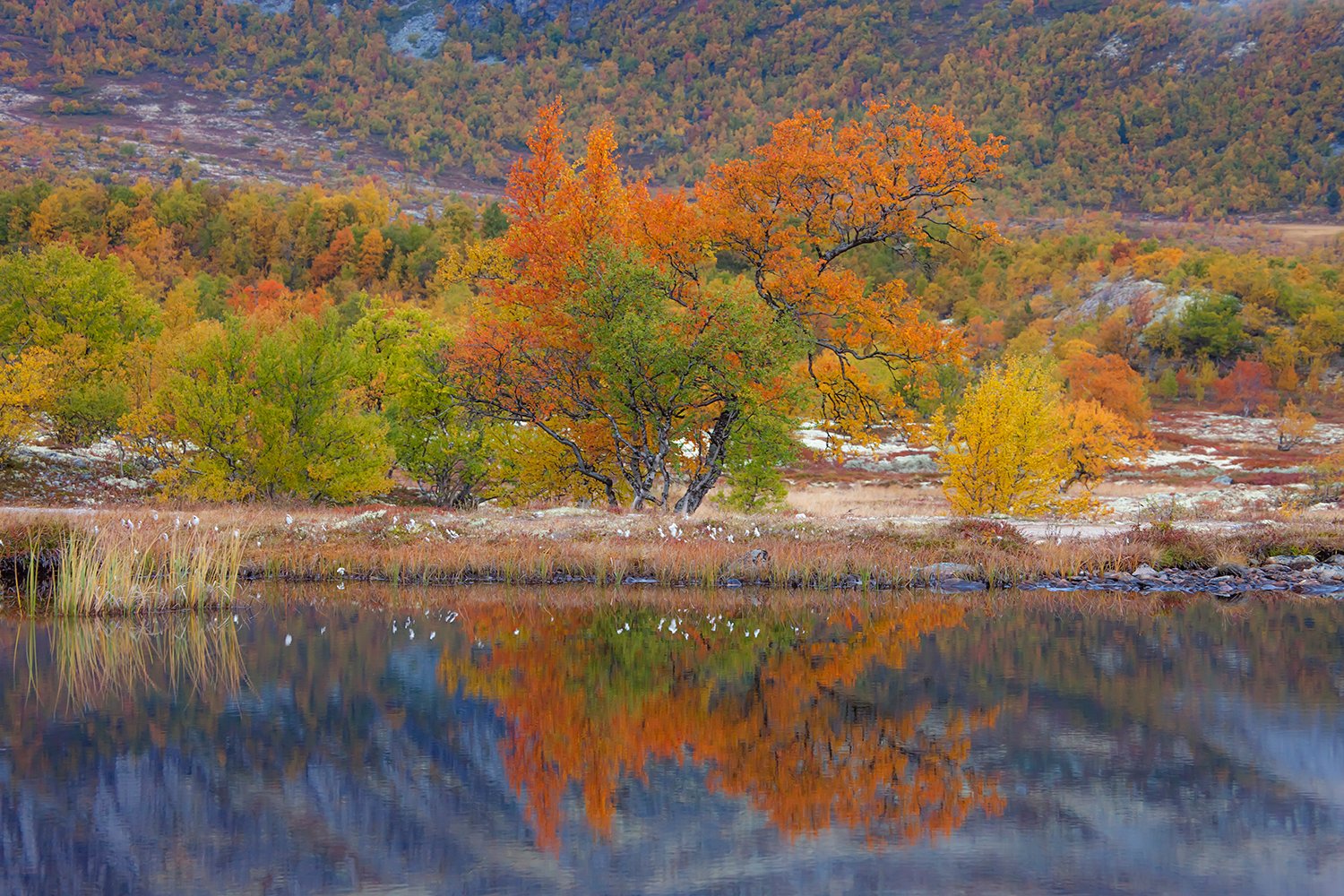 00021_NO8_PHOTO_174_175-176_FLATSETRA_6489RCCz-40_15