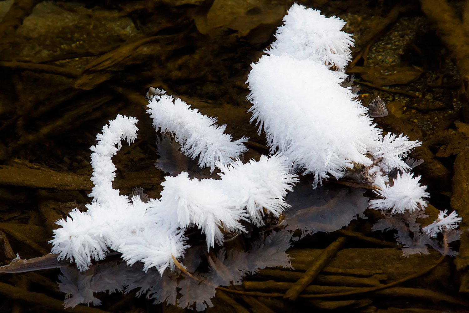 00057_III_UNTERTAL_1_23DEC_2016_8088R4CCz-40_15