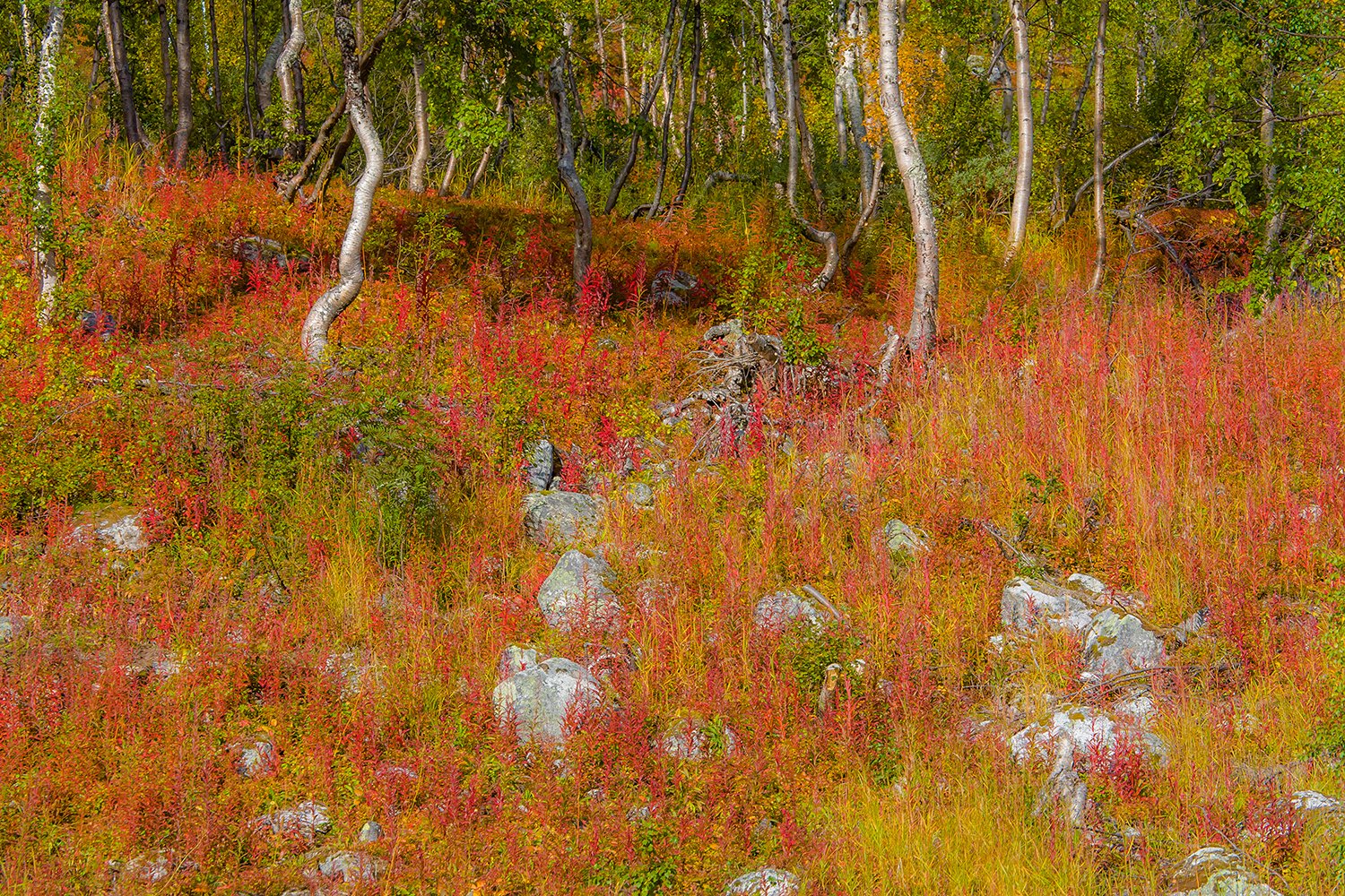 00079_M4_NO8_PH_150_151_FAUGRO_08_09_08_6548RCCz-40_15