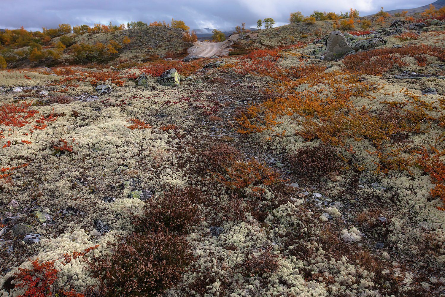 00201_NO8_PHOTO_174_175-176_FLATSETRA_6697RCCz-40_15