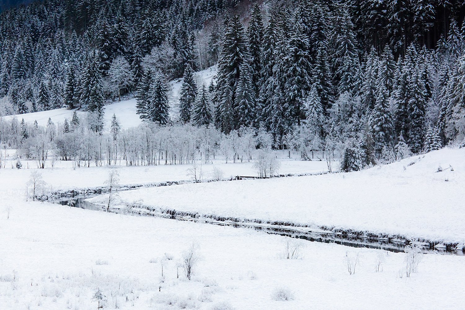 00351_III_UNTERTAL_1_23DEC_2016_7856R4CCz-40_15