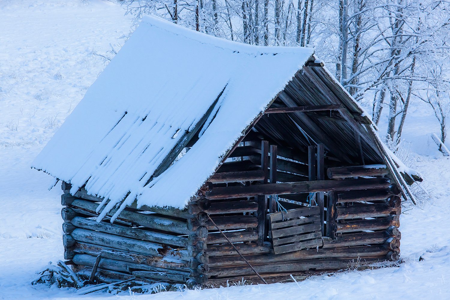 00500_III_UNTERTAL_3_30DEC_2016_8668RCCz-40_15