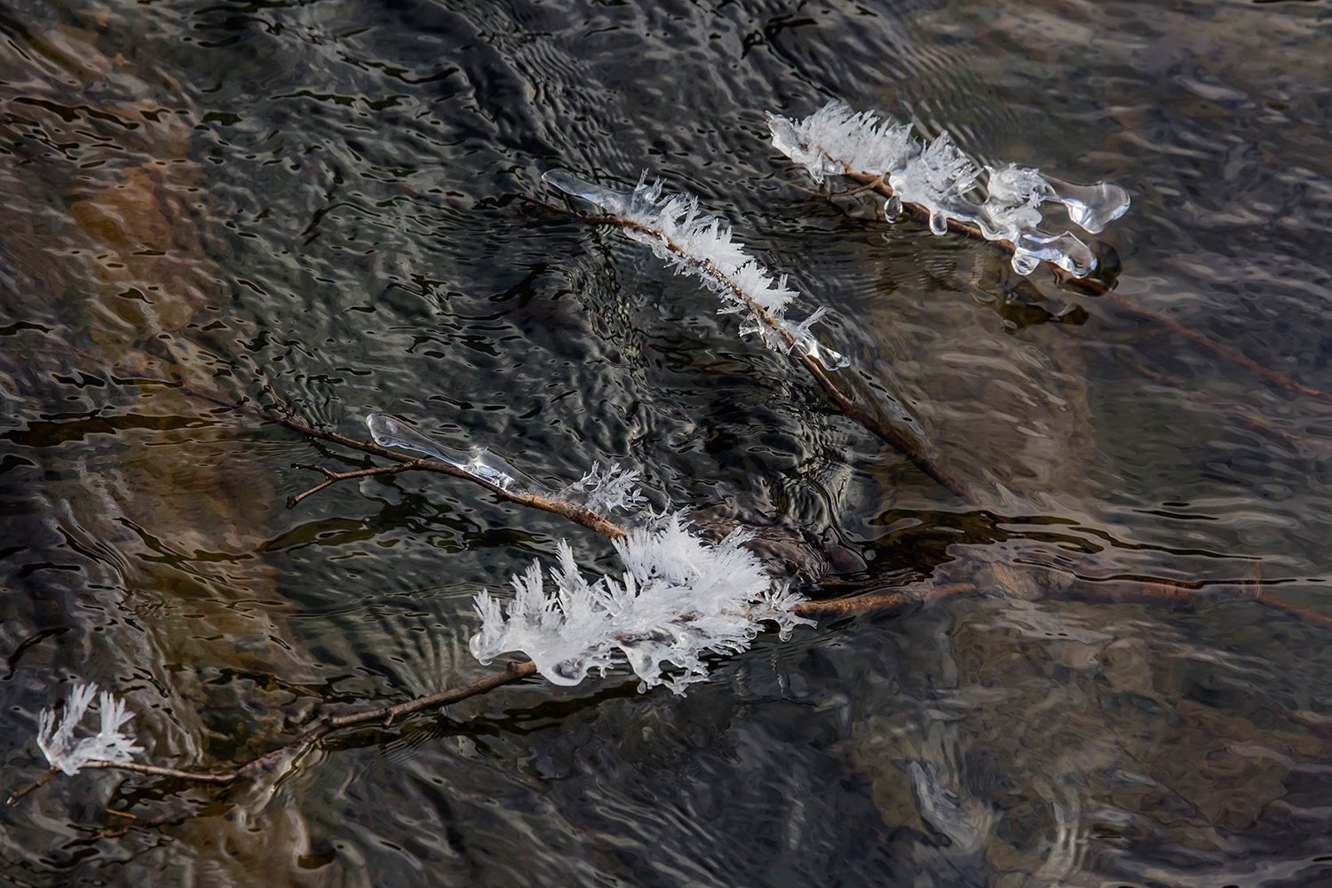 OOO51_III_UNTERTAL_1_23DEC_2016_8197R4CCz-40_15