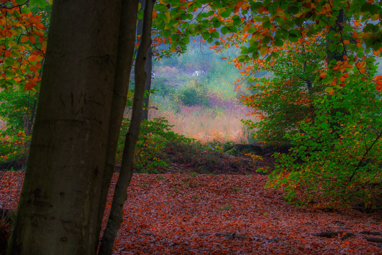 00011_III_HOECHNE_RIK_ELS_18OKT_2018_1187RCCz-60_15