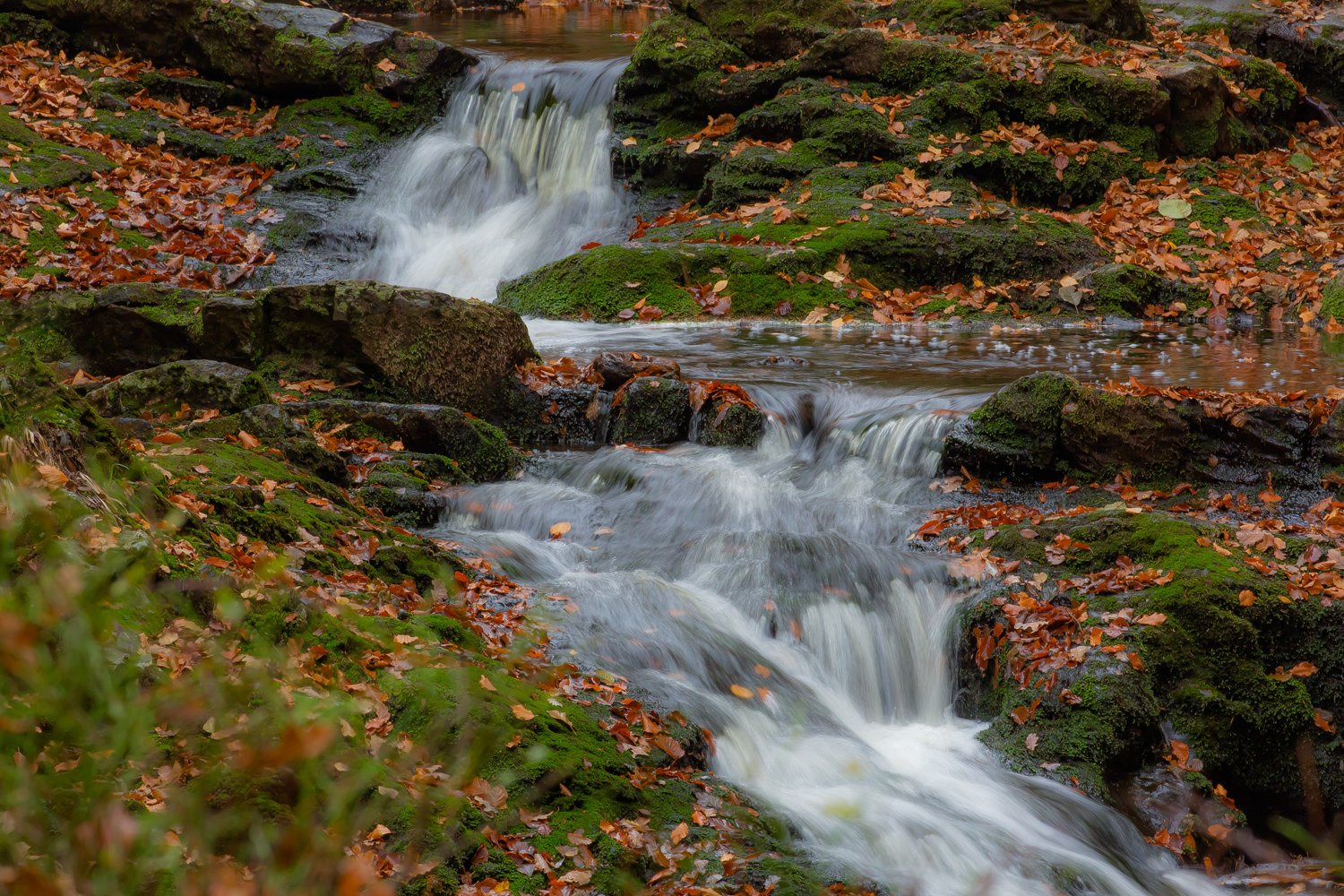 00073_III_HOECHNE_RIK_ELS_18OKT_2018_1616RCCz-40_15