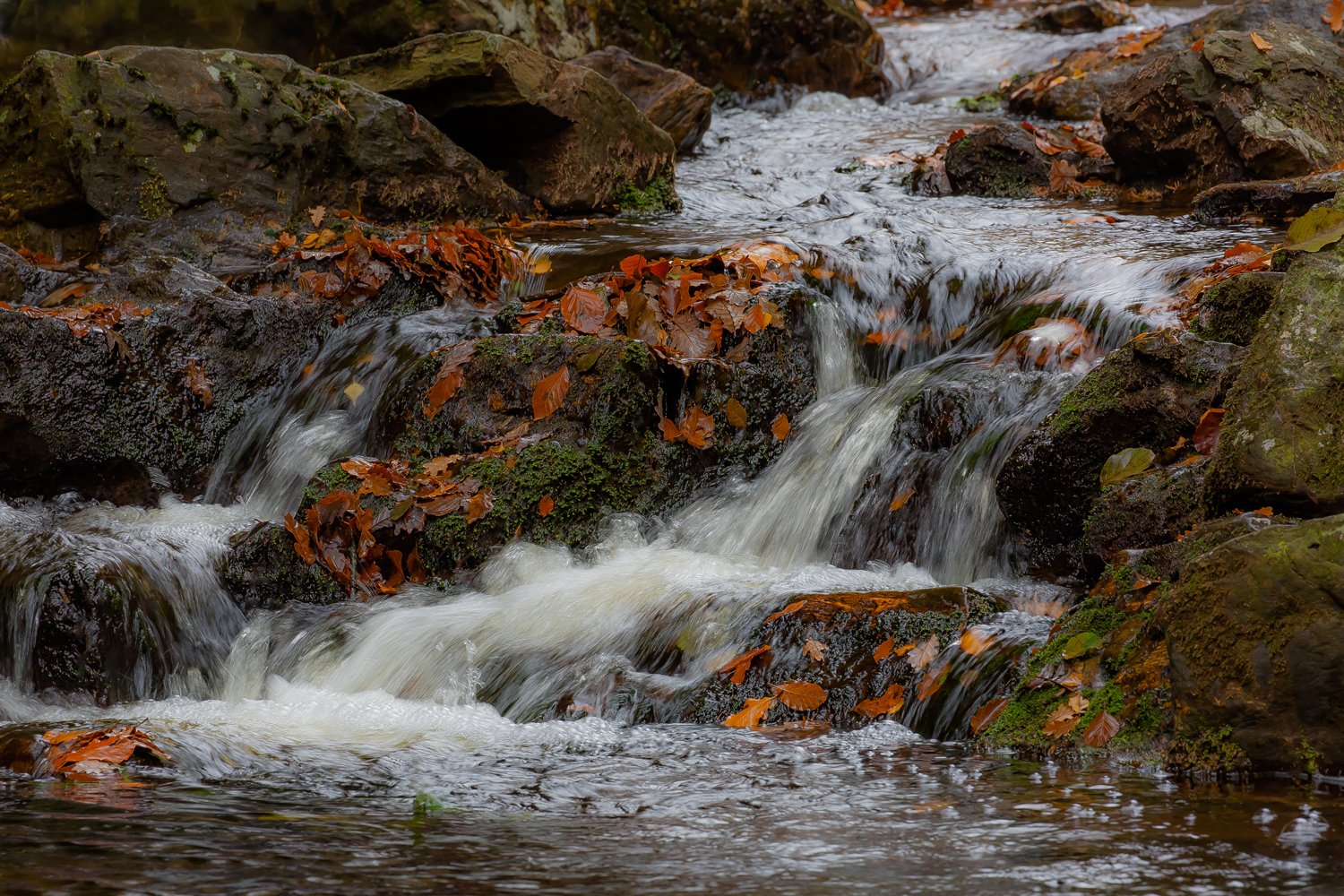 00075_III_HOECHNE_RIK_ELS_18OKT_2018_1576RCCz-40_15