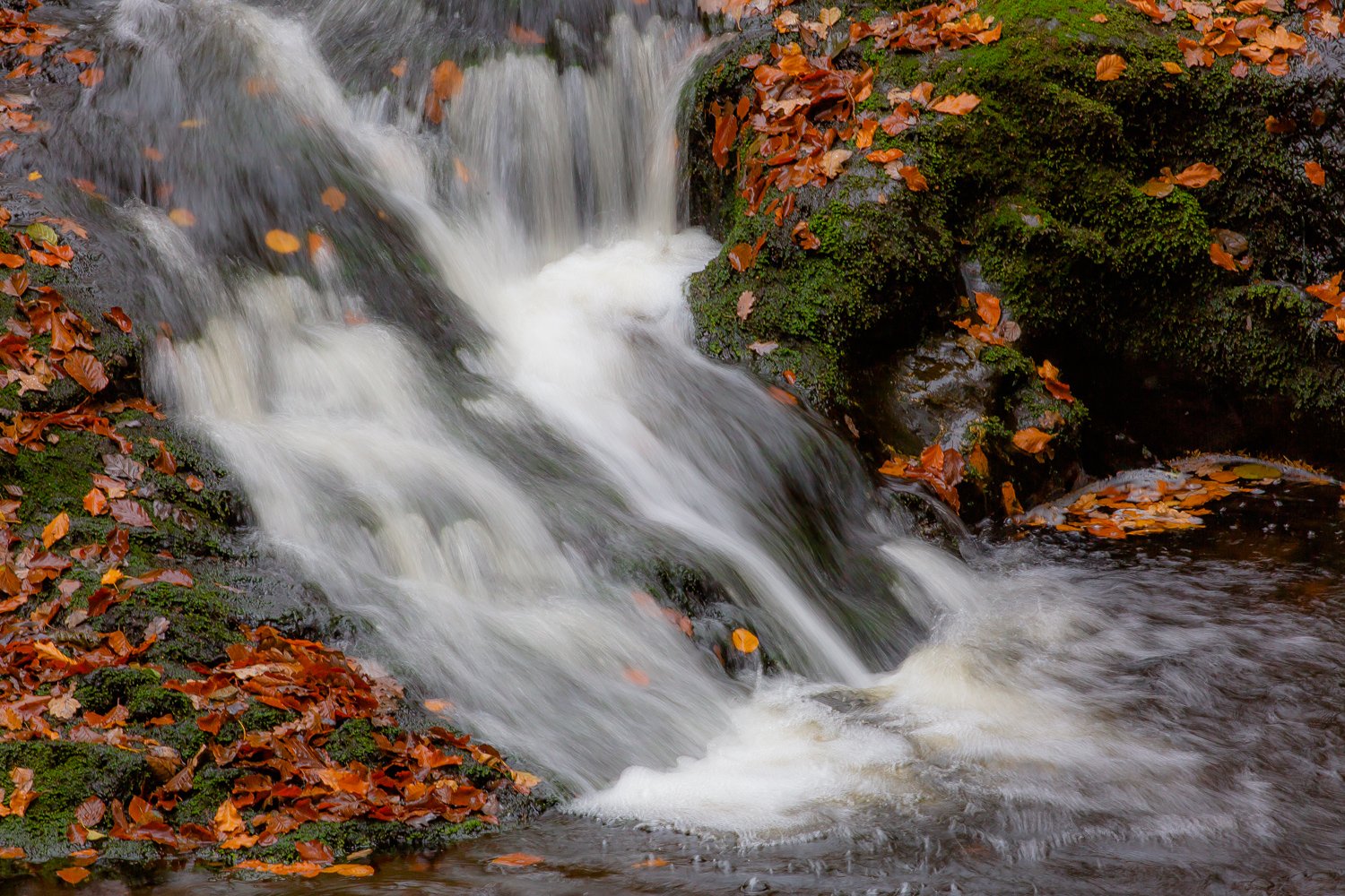 00079_III_HOECHNE_RIK_ELS_18OKT_2018_1657RCCz-40_15