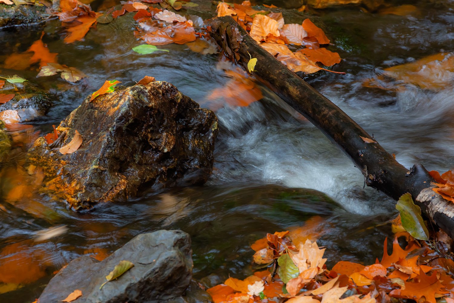 00091_III_HOECHNE_RIK_ELS_18OKT_2018_1478RCCz-4015