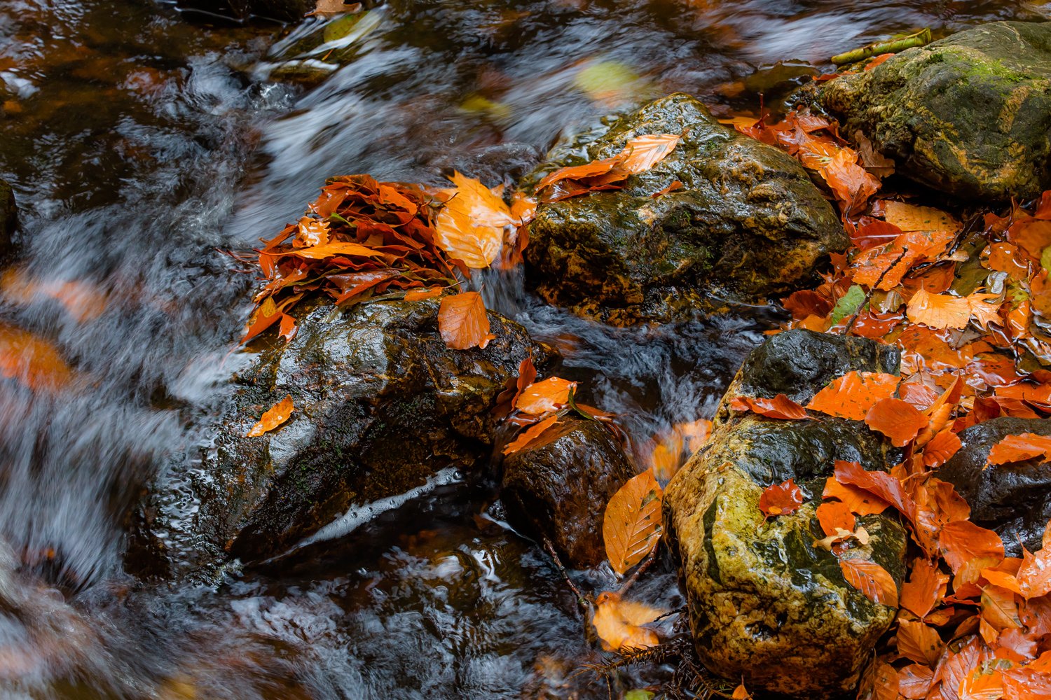 00097_III_HOECHNE_RIK_ELS_18OKT_2018_1852RCCz-40_15