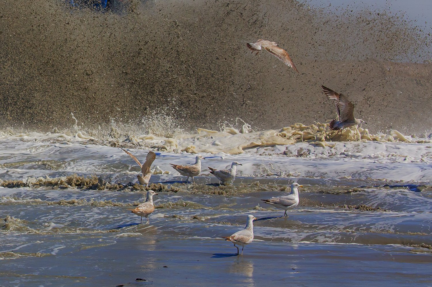 00041_III-westkapp_veere_16mei_2019_2650RCCz-40_15_2