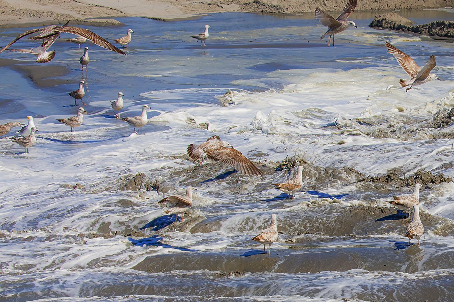 00115_III-westkapp_veere_16mei_2019_2783RCCz-40_15_2