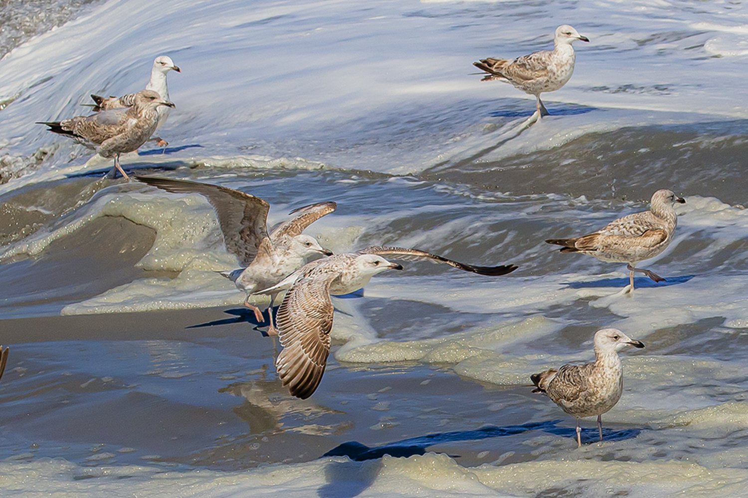00117_III-westkapp_veere_16mei_2019_3006RCC-40_15_2