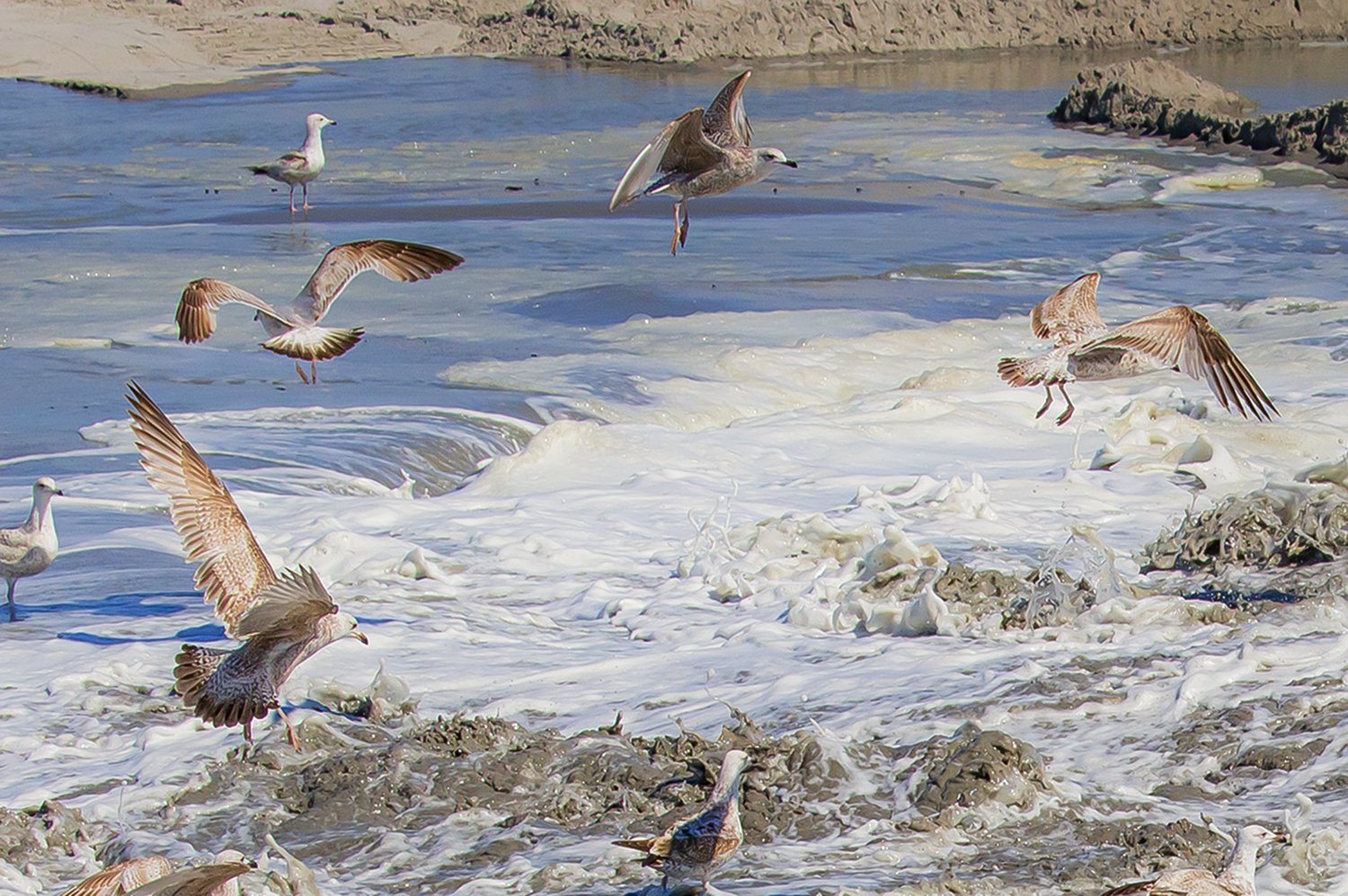 00119_III-westkapp_veere_16mei_2019_2782RCC-40_15_2