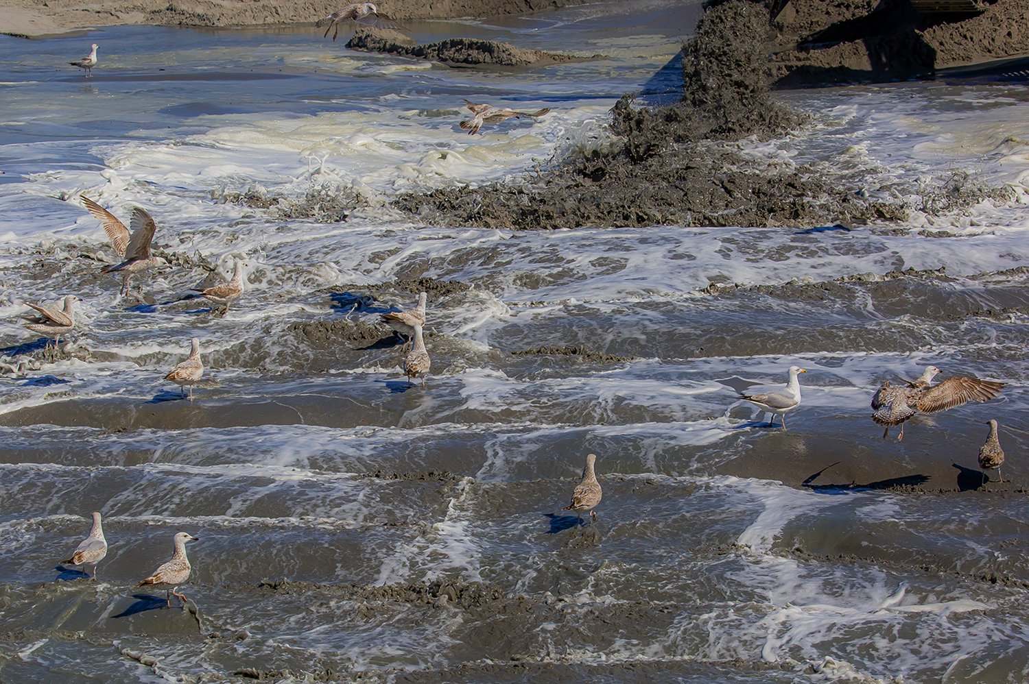 00141_III-westkapp_veere_16mei_2019_2783RCCz-40_15_2