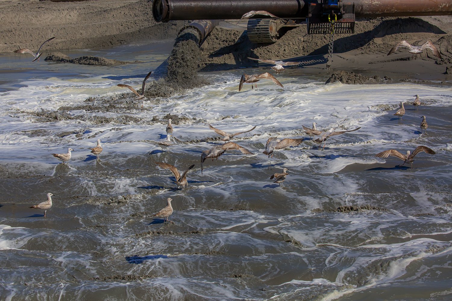 00611_III-westkapp_veere_16mei_2019_2790RCCz-40_2e_15